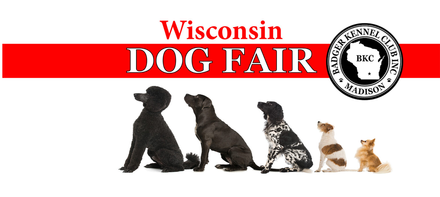 WI Dog Fair 2024 Badger Kennel Club An AKC Breed Club